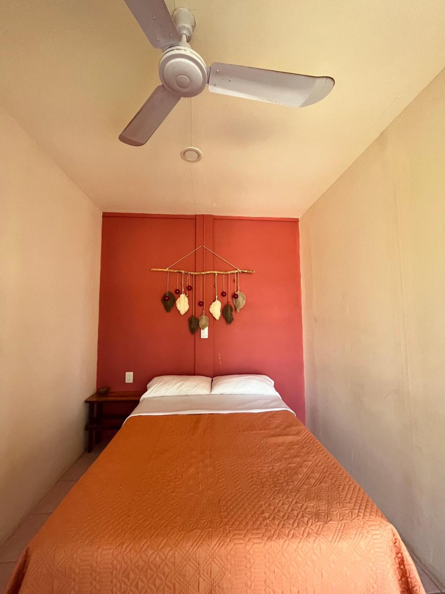 Coco Viejo Posada San Pedro Pochutla エクステリア 写真